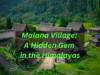 Malana Village