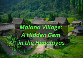 Malana Village