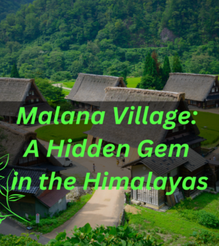 Malana Village